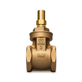 Hattersley Fig 33XLS PN20 Gate Valve - Lockshield